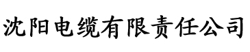 神秘视频电缆厂logo